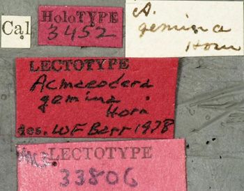 Media type: image;   Entomology 33806 Aspect: labels